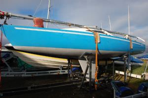 Harlequin 21 (click for enlarged image)